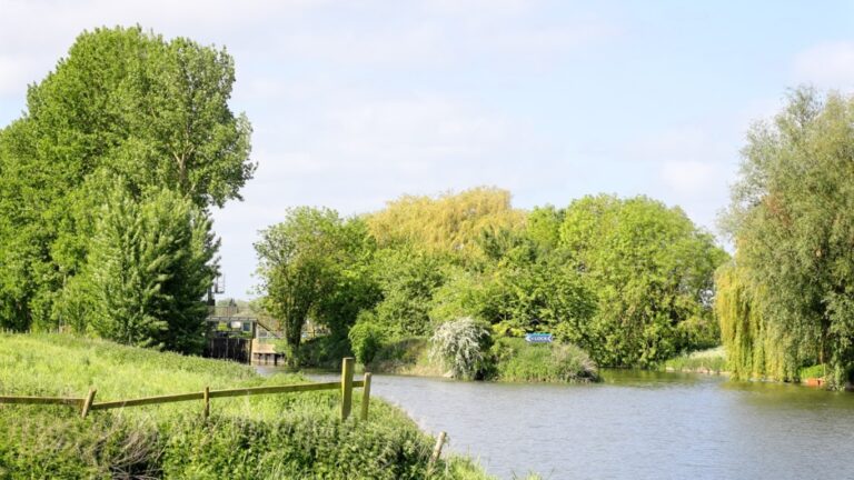 A river running through a green field, partially bordered by a fence